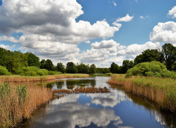 Reeuwijk